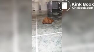 A Fine Dump (French)