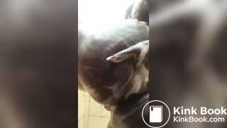 Smearing shitty booty