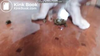 Squirtgirl has Surprise