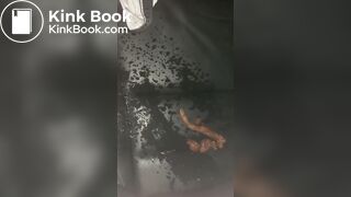 Wife pisses on her shit and car seat