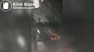 Wife pisses on her shit and car seat