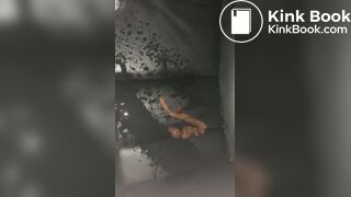 Wife pisses on her shit and car seat