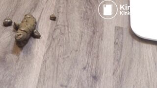 Slutty Maid Pooping_Peeing