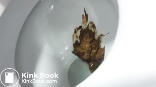 Poop into toilet 5