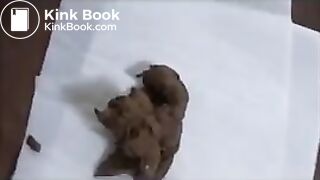 Cutie Marvels at Her Droppings