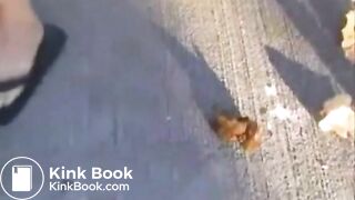 Blondie Agrees To Shit on Film