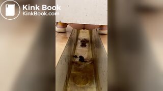 chinese girl pooping voyeur 27