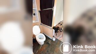 Беременная девушка поносит