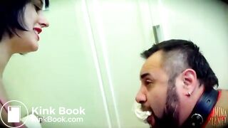 Toilet pig - video 2