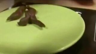 Marion shits on a plate 2