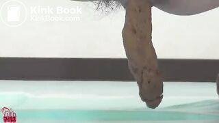 女の子達の排便動画集