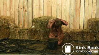 Mary Craft Erotic Fun in Dung - cow shit eating girl