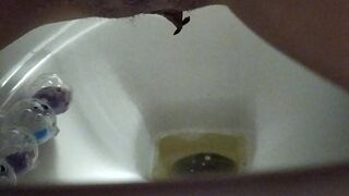 Poop into toilet 3