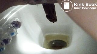 Poop into toilet 3