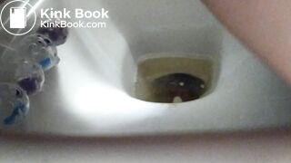 Poop into toilet 3