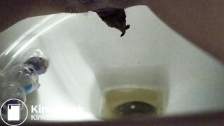 Poop into toilet 3