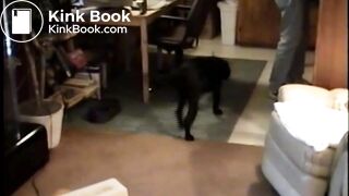 carla teases uncle no panties