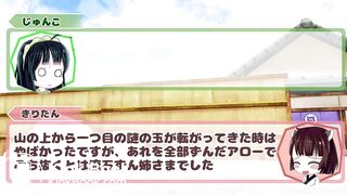 腹痛で人生が終わらないようにきりたんの失敗を反面教師にして学術的に啓発をする動画