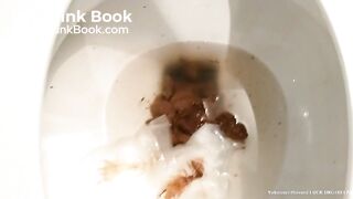 Hot girl toilet pooping - video 7