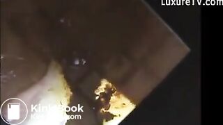 Poop in Mirror