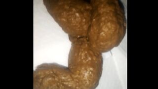 I MADE A MASTERPIECE - TASTY SHIT