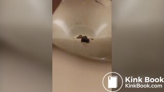 Japanese twitter pooper