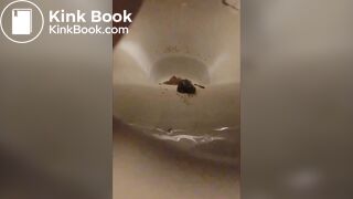 Japanese twitter pooper