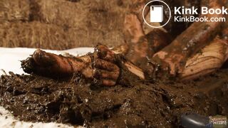 Valentines Day sale 35 % on every cow and horse shit video