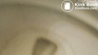 Lick My Toilet After I Shit