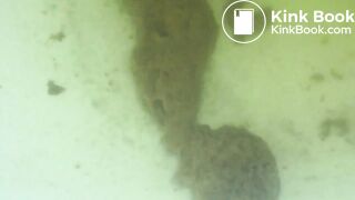 her homemade shit soars