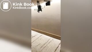 chinese femdom - video 247