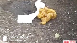 Japanese girl pooping44