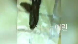 Korea femdom scat - video 2