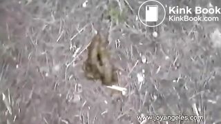 Shitting Outside in the Woods