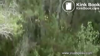 Shitting Outside in the Woods