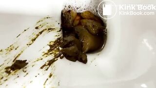 Scat1334