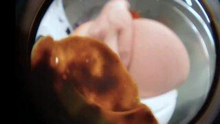 Pawgs fun with feces 8