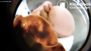 Pawgs fun with feces 8