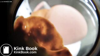 Pawgs fun with feces 8