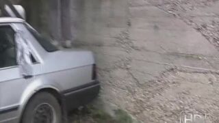 Pooping on car - video 2