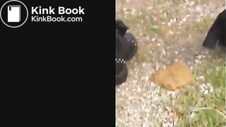 Desperate Diarrhea Behind Car