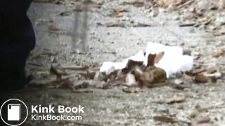 japanese outdoor pooping - video 5