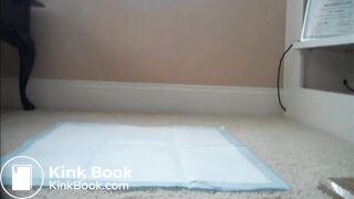 first the bladder emptied then sweet shit