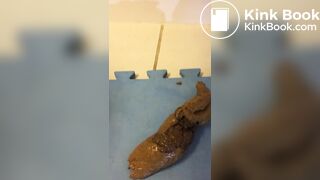 Random Poop Compilation Collective.. - video 8