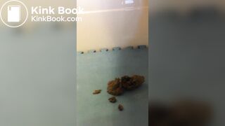 Random Poop Compilation Collective.. - video 8