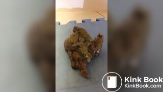 Random Poop Compilation Collective.. - video 8