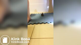 Random Poop Compilation Collective.. - video 8