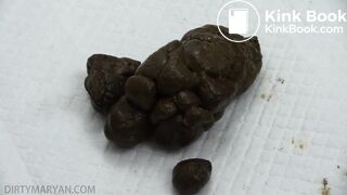 Random Poop Compilation Collective.. - video 34