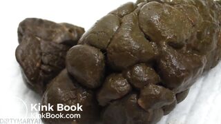 Random Poop Compilation Collective.. - video 34