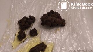 Random Poop Compilation Collective.. - video 34